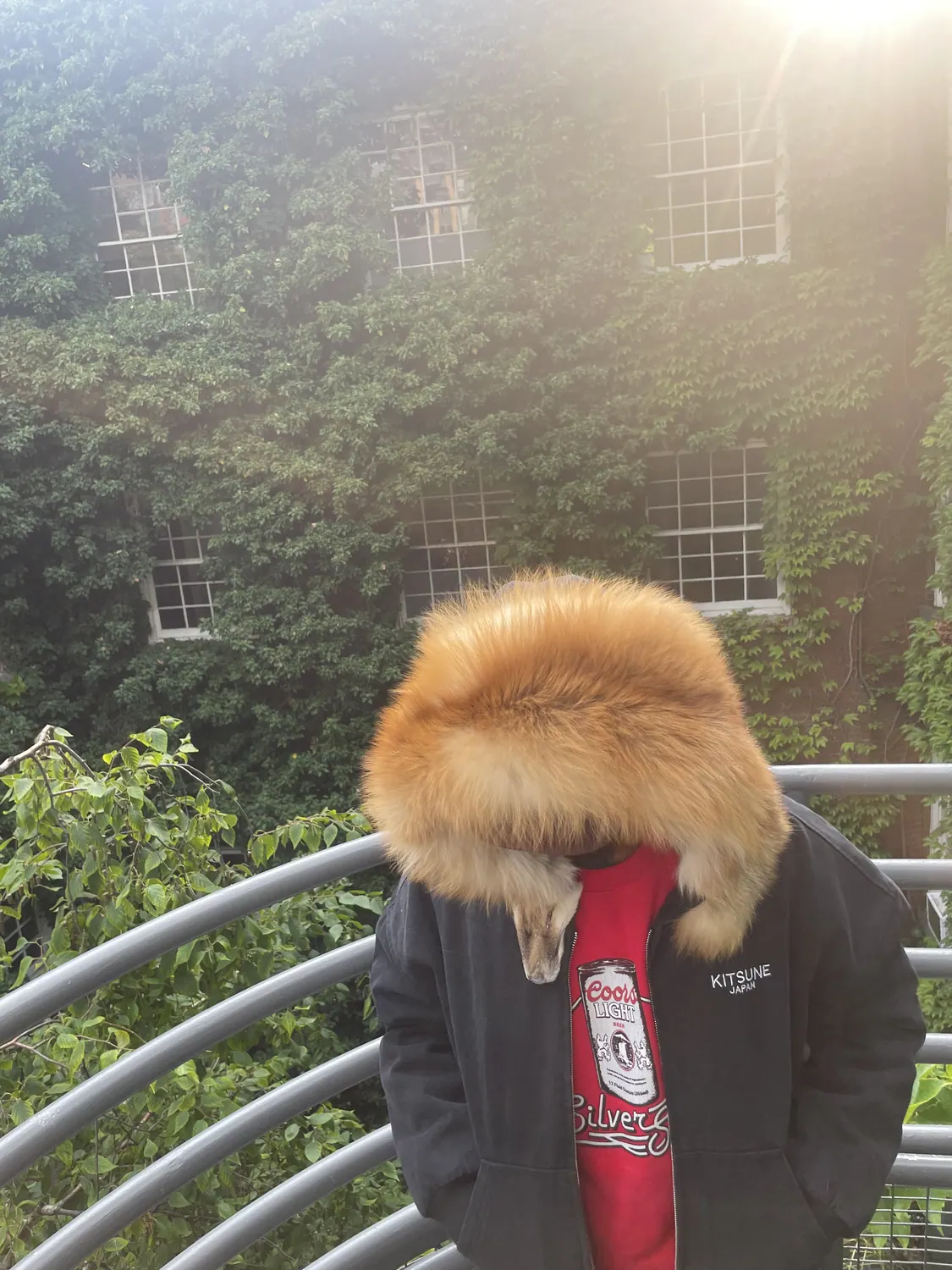 Sun flare through the fur